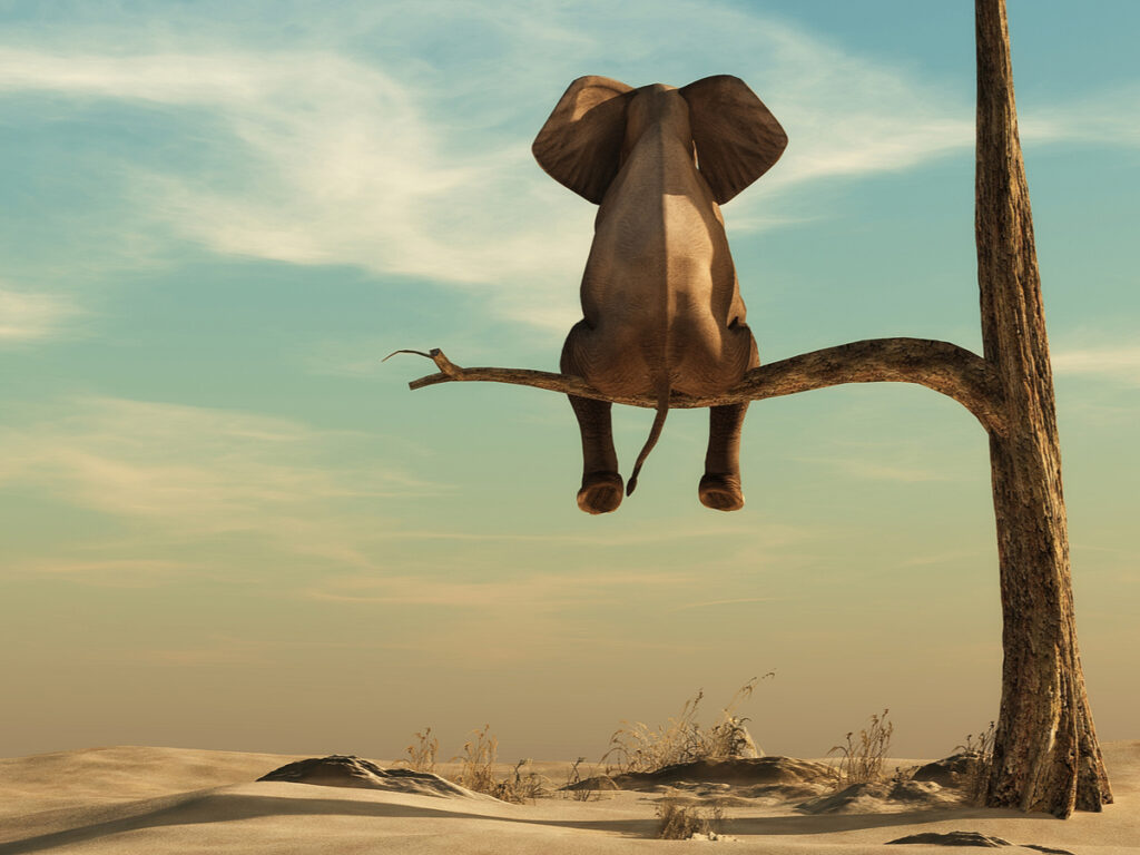 Iedereen wist dat het niet kon, totdat er iemand kwam die dat niet wist