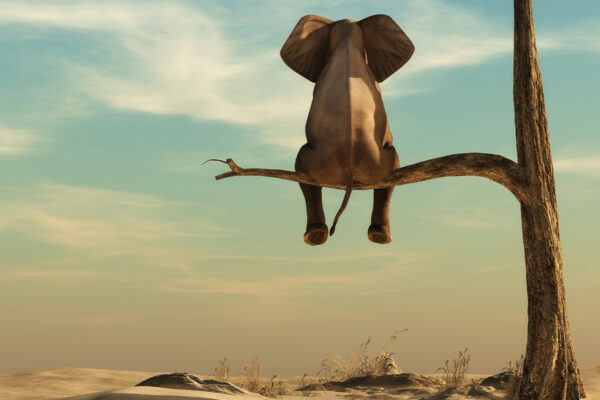 Iedereen wist dat het niet kon, totdat er iemand kwam die dat niet wist